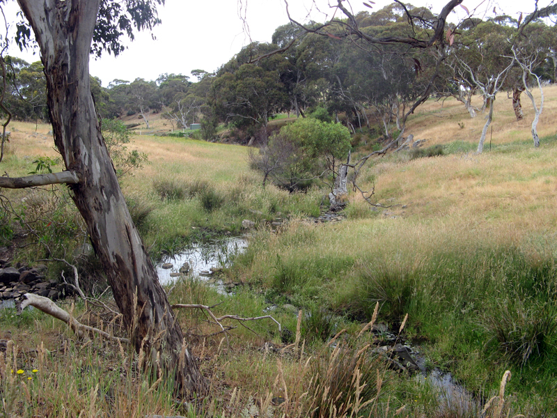 View from site of shelter (GR 641 554)