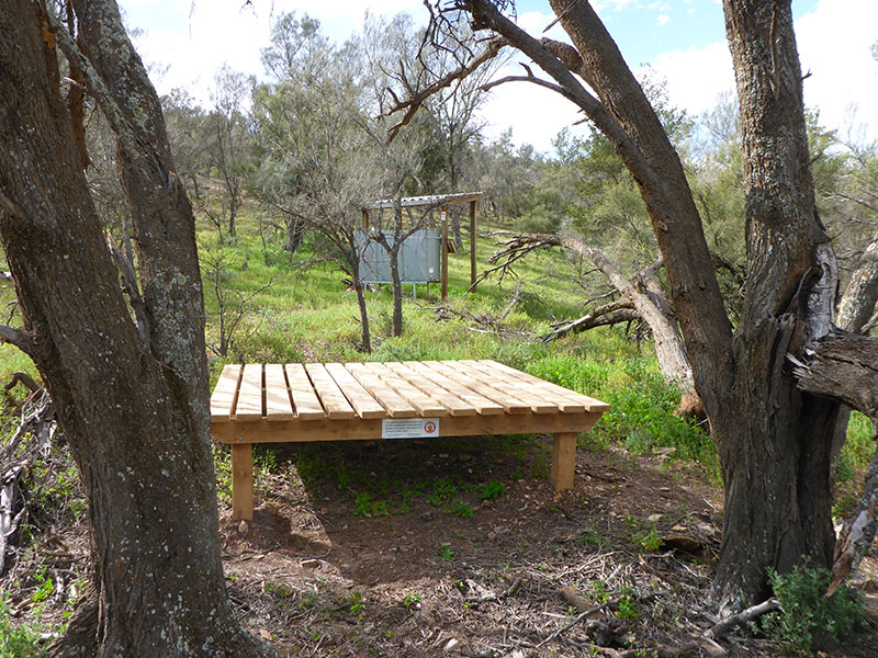 Multi-purpose camping platform