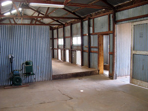 Interior of shearing shed