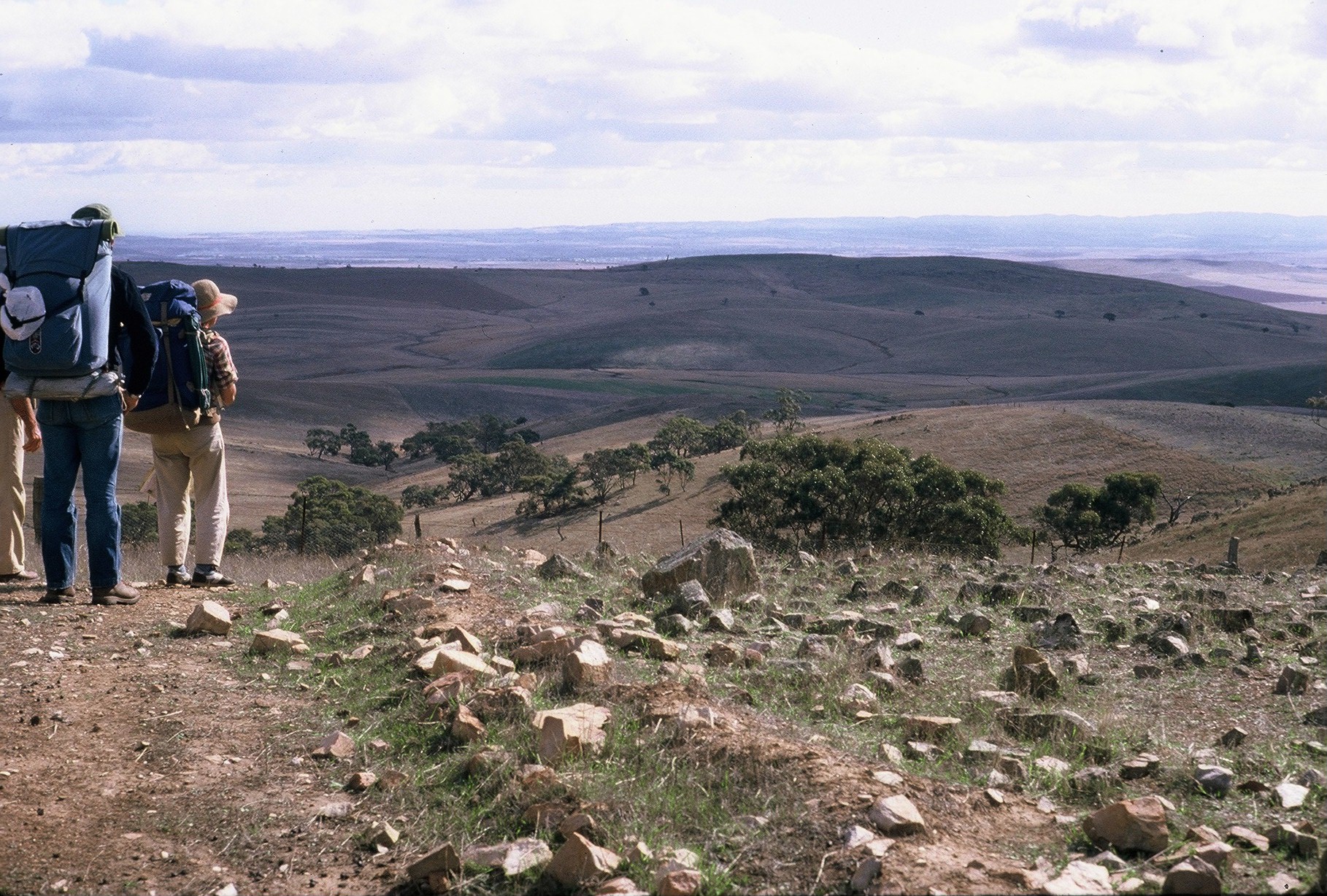 Southern Flinders Ranges from New Campbell Hill