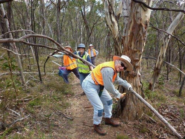Every little bit counts - WEA Ramblers walking group celebrates 90th birthday