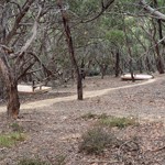 The view from the shelter